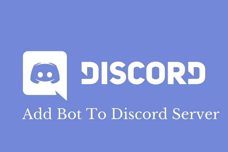 Les 4 Bots Pour Voir des Vidéos Discord Sur Votre Serveur 2025