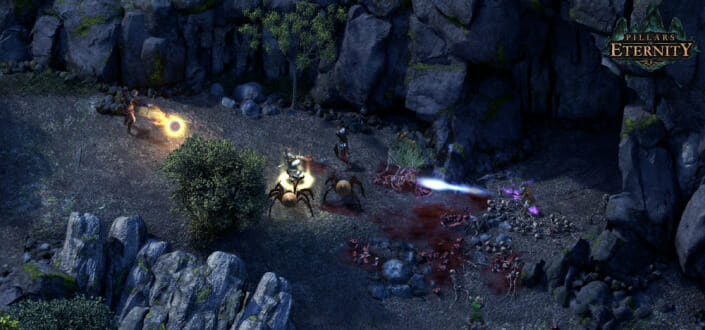 Pillars of Eternity: Complete Edition