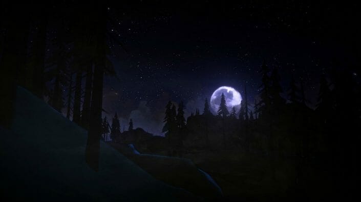 THE LONG DARK